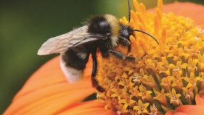 Smarter Business Tech Live Expo