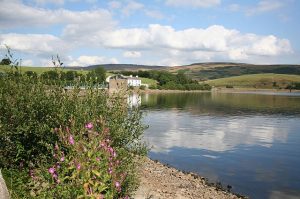 Hollingworth Lake | LKTeam CPD | Technical translation